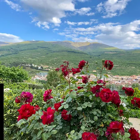 La Viña Сasa de vacaciones