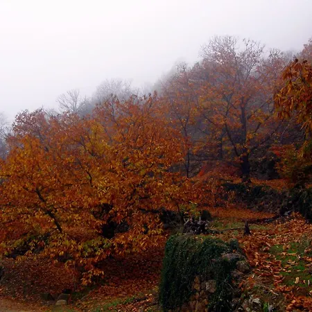 La Viña Сasa de vacaciones Navaconcejo