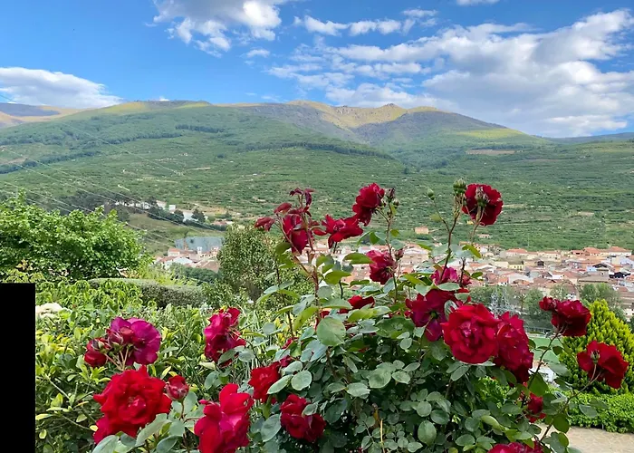 La Vina Holiday home