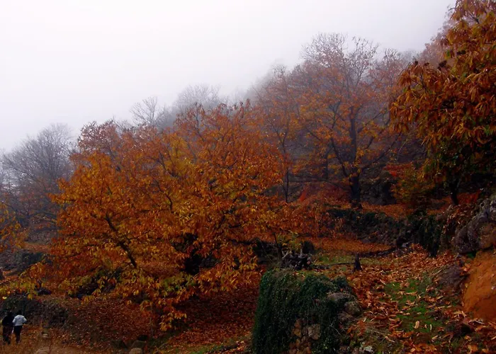 La Vina Holiday home Navaconcejo